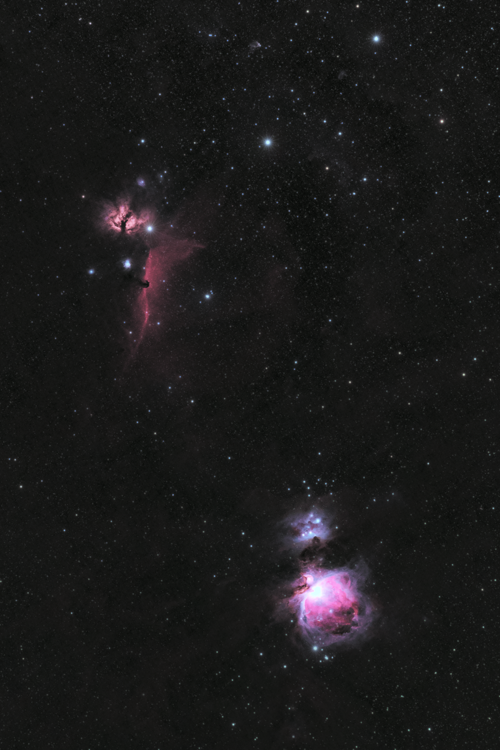 Orion Nebula - Samyang 135 mm EF - Im Garten - 45 sec, 07.10.2022 - 700Da - Hochformat-min