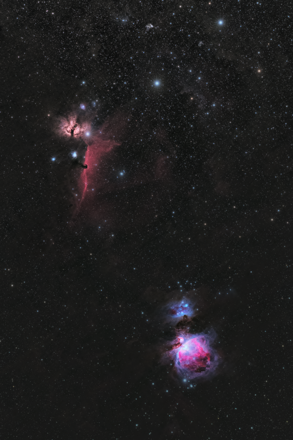 Orion Nebula - Samyang 135 mm EF - Im Garten - 45 sec, 30 sec, 07.10 + 19.11.2022 - 700Da - Hochformat