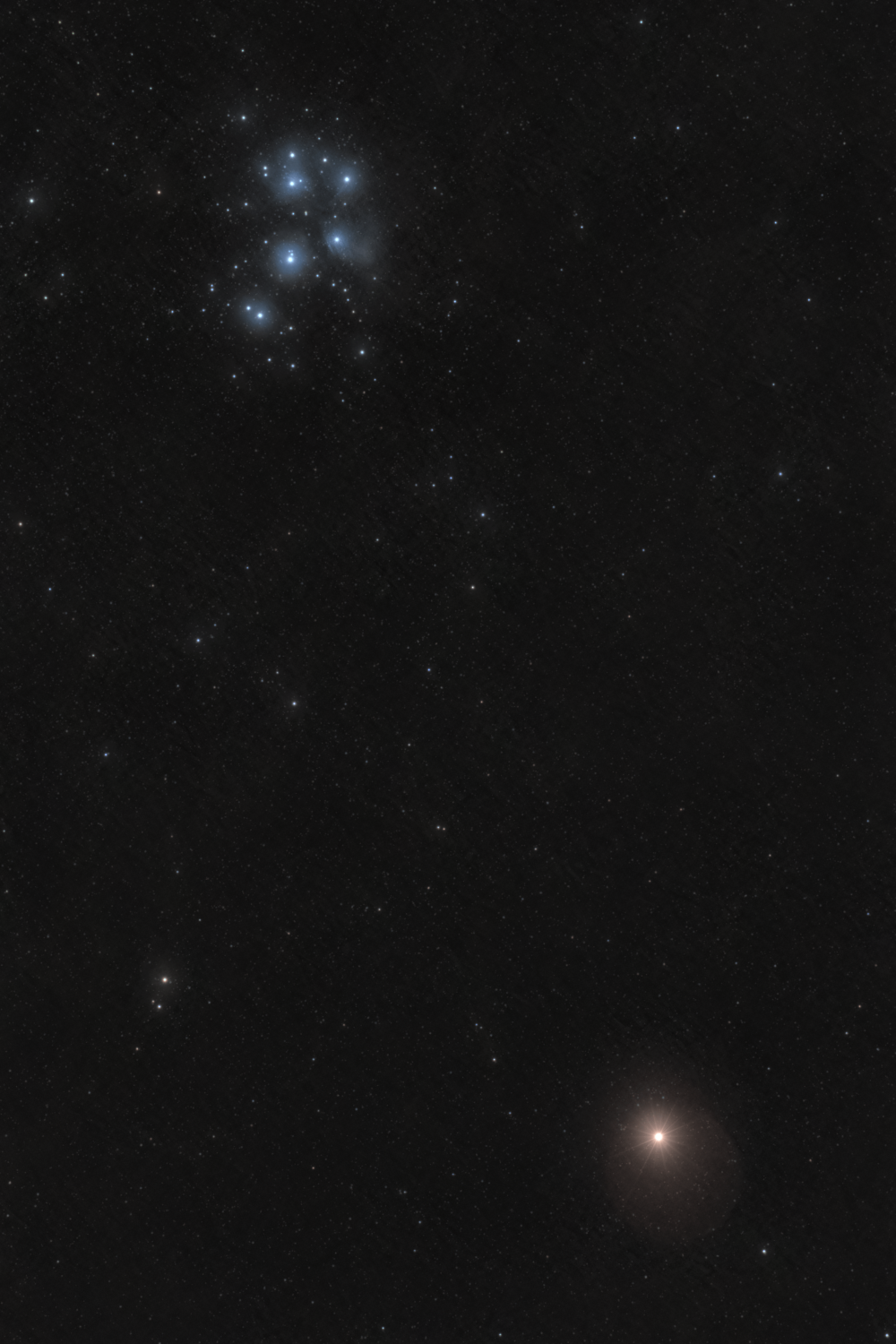 Pleiades & Mars - Samyang 135 mm - Im Garten - 30 sec, 24.08.2022 - 700Da-min